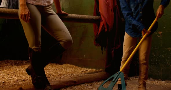 Mother and daughter giving high five to each other in stable 4k alt