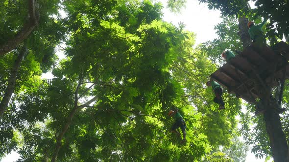 Adventure Climbing High Wire Park alt