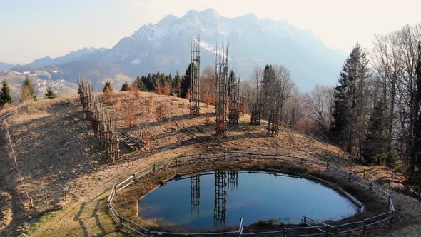 The Tree Cathedral and mountains aerial view