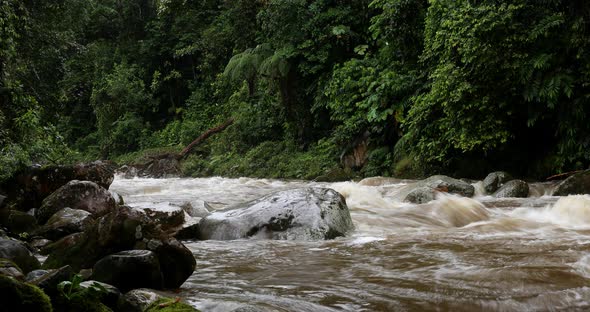 Timelapse of a river of which the muddy water level is going down after a heavy rainfall alt