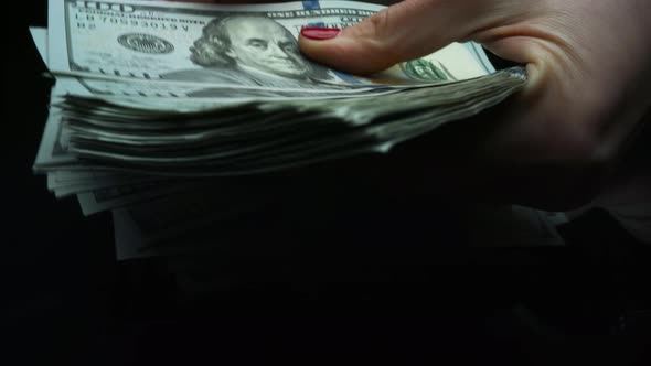 Female Hands Holding Money Cash. Businesswoman Hands Counting Dollar Banknotes alt