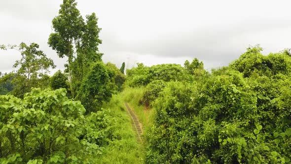 Beautiful cinematic Ubud, Bali drone footage with exotic rice terrace, small farms, campuhan ridge w alt