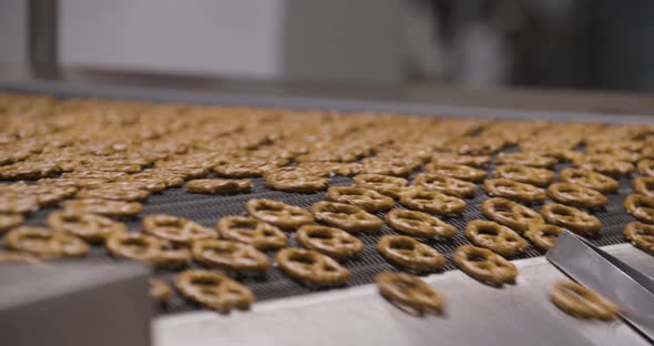 Snacks production Closeup conveyor, baked pretzel snacks alt