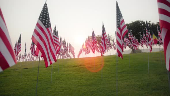 Many American Flags Fluttering in the Wind on Flag Poles Against Cloudy Sky alt
