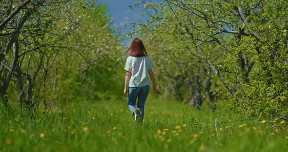 Young Woman is Strolling in Blooming Garden in Early Springtime Rear View  Prores