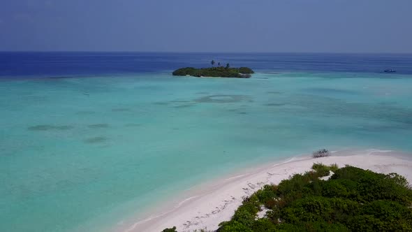 Aerial view panorama of tropical seashore beach wildlife by ocean and sand background alt