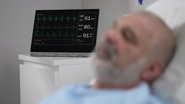 Looped Patient Monitor Displays Vital Signs ECG Electrocardiogram EKG Oxygen Saturation SPO2 and alt