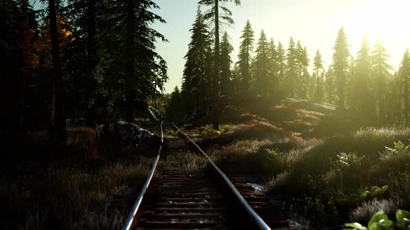 Autumn Colours Along a Railway Track at Sunset alt