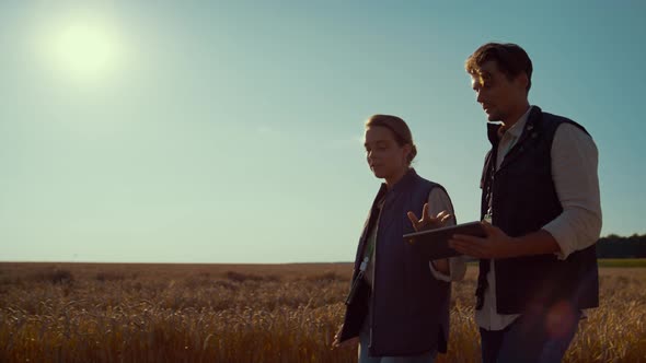 Agriculture Engineers Walking Wheat Field on Sunny Day alt
