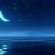 Starry Sky with Moon Reflected on Ocean Waves - VideoHive Item for Sale