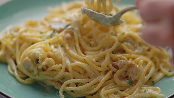 Fresh Spaghetti Carbonara on Plate alt