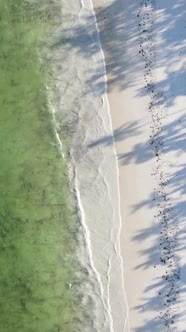 Vertical Video of the Ocean Near the Coast of Zanzibar Tanzania alt