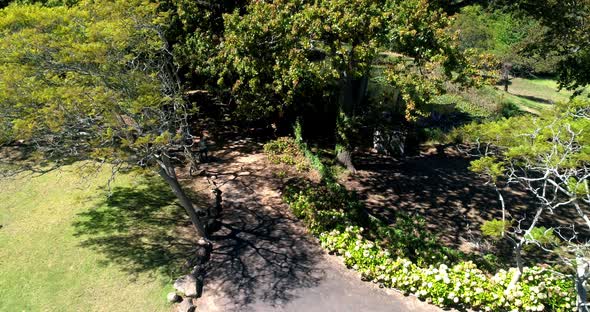 Marathon athletes running in the park 4k alt