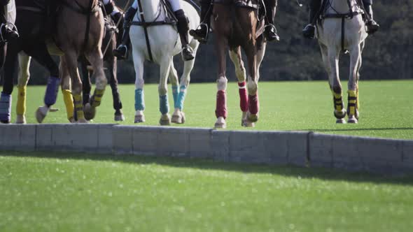 Polo Game Two Teams on Horseback in Slow Motion alt