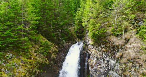 Forest Waterfall, Aerial View alt