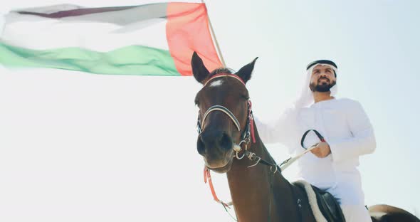 Arabian man with his horse alt