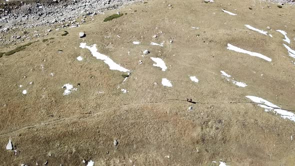 The Group Goes on a Trail in the Mountains alt