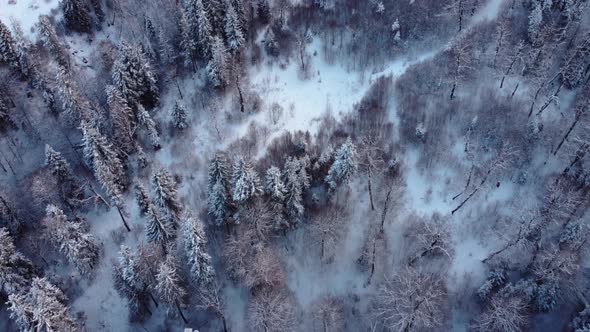 Winter Landscape Aerial view alt