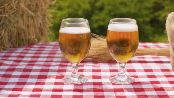 Two glasses of beer and grains alt
