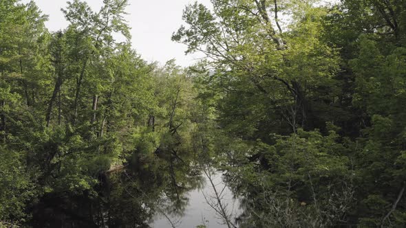 Ascending aerial up over river deep within lush nature revealing lake and mountain view alt