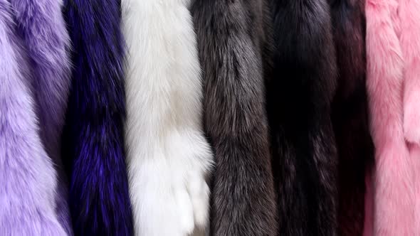 Natural Fur Skins of Different Shades and Colors