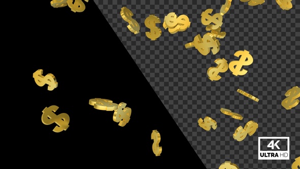 Golden Dollar Symbols Falling Slowly By Moonon Videohive