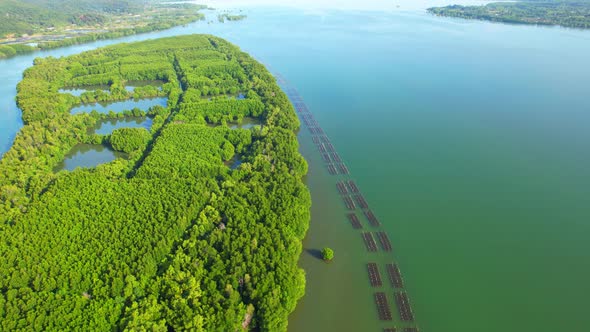 An island-shaped mangrove forest in the middle of a river mouth near the sea. alt