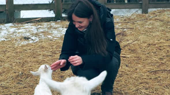 The Girl Strokes the Goat Kid in the Pen