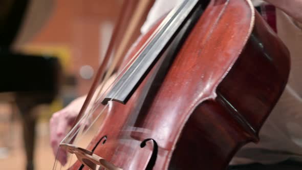 close-up of the bow, which the master leads over the strings of the cello alt
