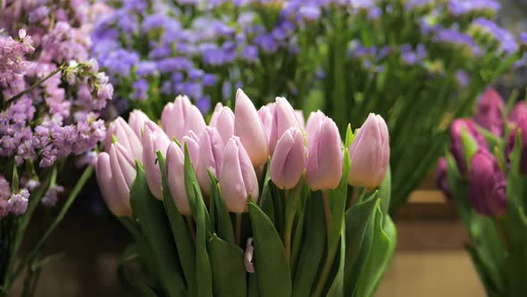 Closeup of Pink Tulips with Other Colored Flowers at Background in Florist Shop