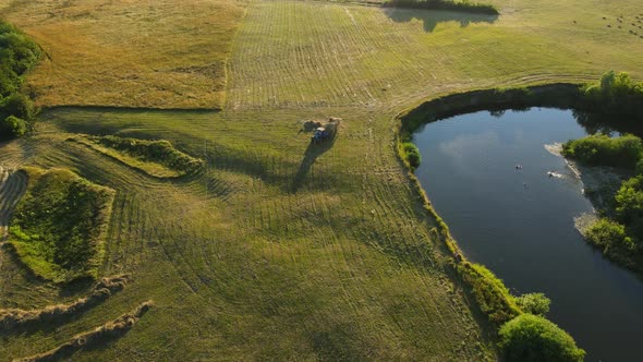 Countryside. A Wide Riverbed, Flowing Between Fields And Forests