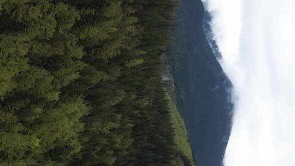 Vertical Video Carpathian Mountains alt