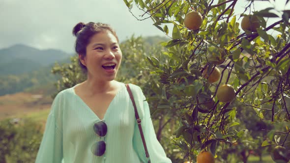 attractive asian woman wearing casual colorful dress hand hold harvest basket