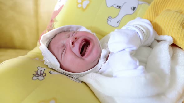 Newborn Baby Crying alt
