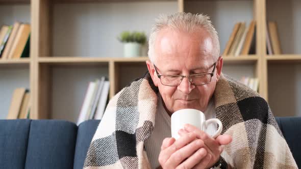 An Old Grayhaired Man Sits on a Sofa Covered with a Blanket and Drinks Tea alt