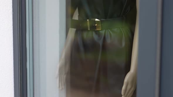 Elegant Manikin in the Shop Window alt