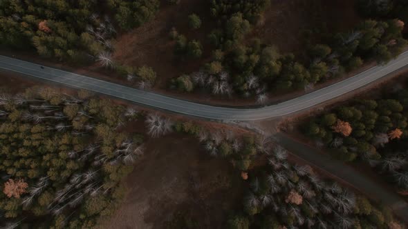 Closeup curve road with cars between deep green forest in Ural