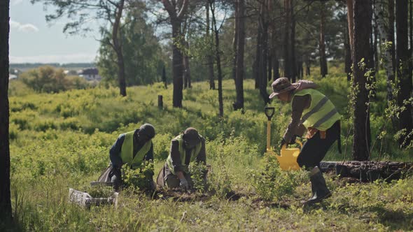 Watering Plants in Forest alt