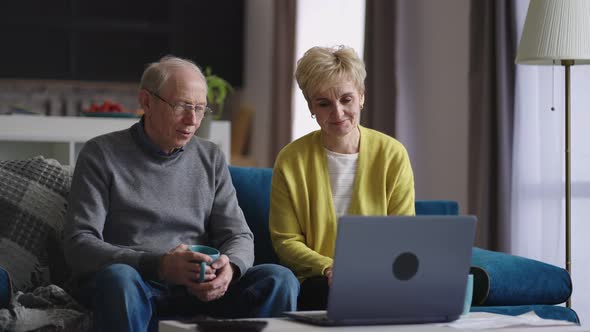 Cheerful Elderly Man and Woman are Communicating By Video Chat in Laptop with Friends or Family alt