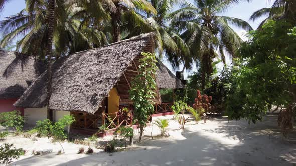 An African Hotel with Tall Palm Trees and Thatched Bungalows Zanzibar alt