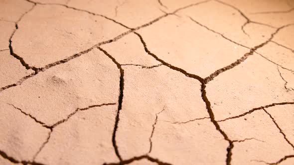 Cracked Soil