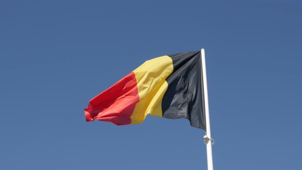 Fabric on wind of   Belgian  national symbol 4K 2160p 30fps UltraHD footage - Flag of  Belgium trico alt