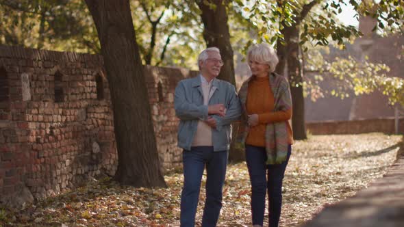 Handsome senior couple walking in autumn park