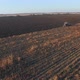 Agriculture - Flying Over a Tractor 2 - VideoHive Item for Sale