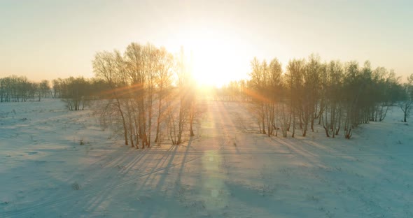 Aerial Drone View of Cold Winter Landscape with Arctic Field Trees Covered with Frost Snow and alt