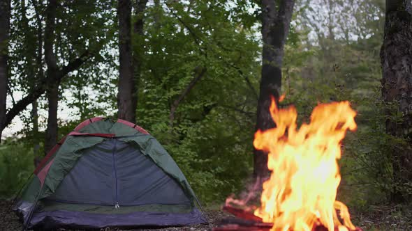 Bonfire Burns Next to a Tent at a Campsite in Nature