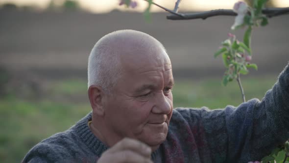 Agronomist Inspects the Ascent of the Crop in the Garden