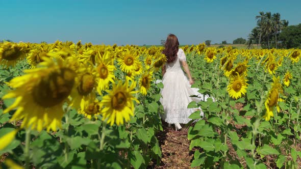 cheerful woman walking and enjoying with sunflower field