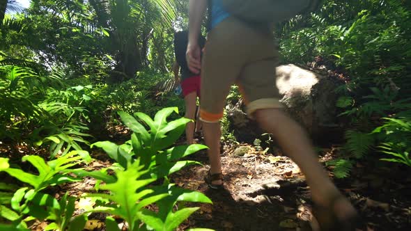 Hiking Between Tropical Plants alt