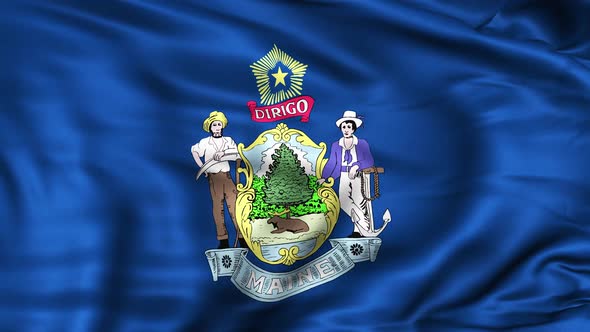 Maine State Flag